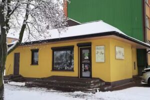 Magnolia. Kwiaciarnia. Koprowska K.