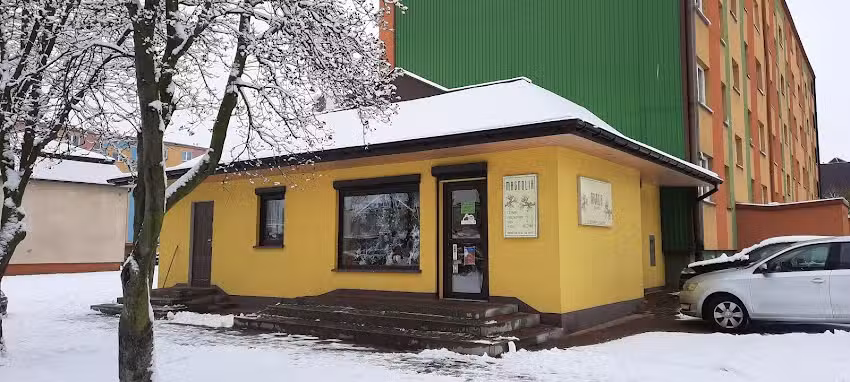 Magnolia. Kwiaciarnia. Koprowska K.