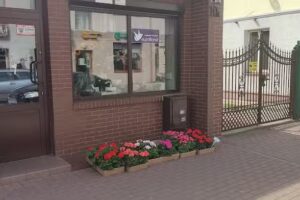 Majewska Jolanta. Sprzedaż kwiatów