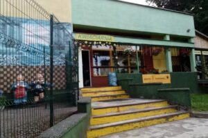 Marcińczyk Andrzej. Kwiaciarnia