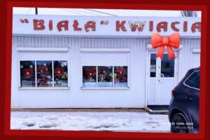 Marek Marczak. Kwiaciarnia