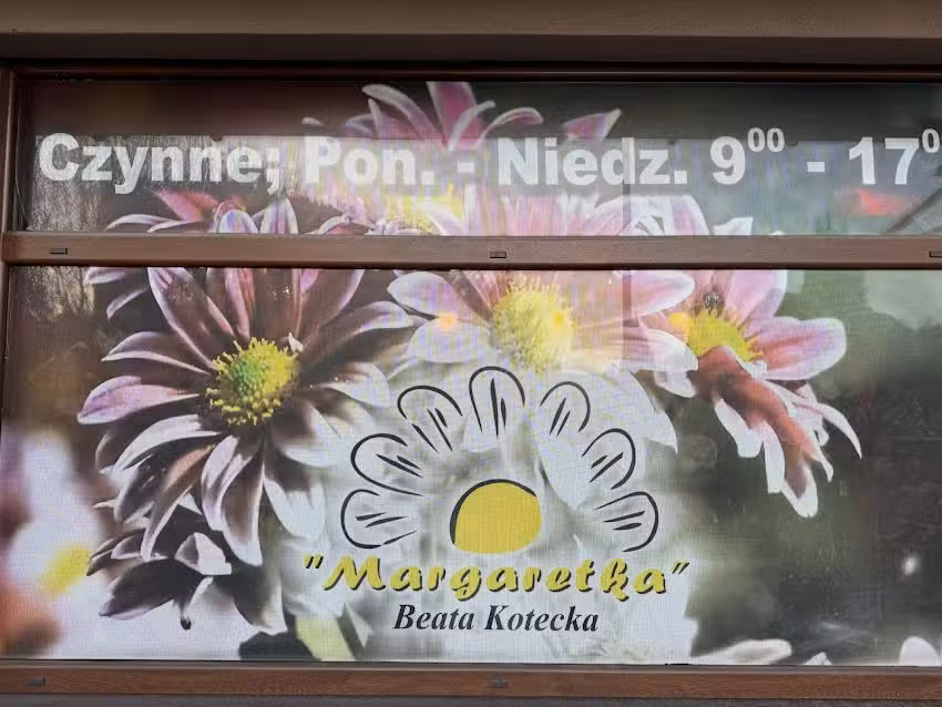 „Margaretka” Beata Kotecka