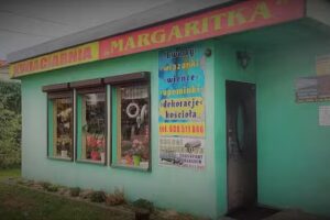 Margaritka Elżbieta Kubat-Błędowska