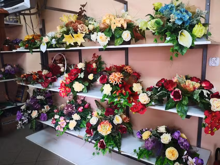 Merkury Dom i Ogród