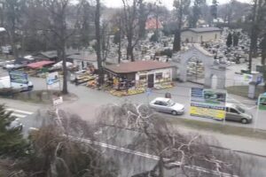 Migdałek s.c. Kwiaciarnia