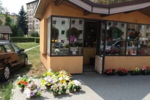 Milewski A. Kiosk z kwiatami