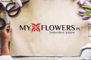 MyFlowers.pl – Sztuczne Kwiaty & Artykuły Florystyczne | Dekoracje Świąteczne | Mech Dekoracyjny – Chrobotek Reniferowy