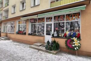 Narcyz. Kwiaciarnia. Truszkowska H.