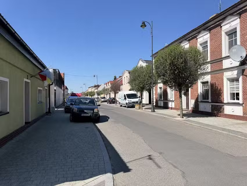 Nawrocki Krzysztof. Kwiaciarnia