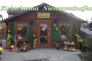 Niezapominajka. FHU. Kwiaciarnia. Mroczek J.