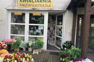 Niezapominajka. Kwiaciarnia