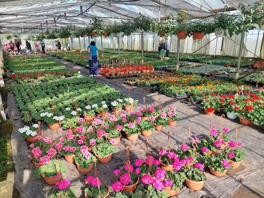 Ogrodnictwo Berkowo Talar