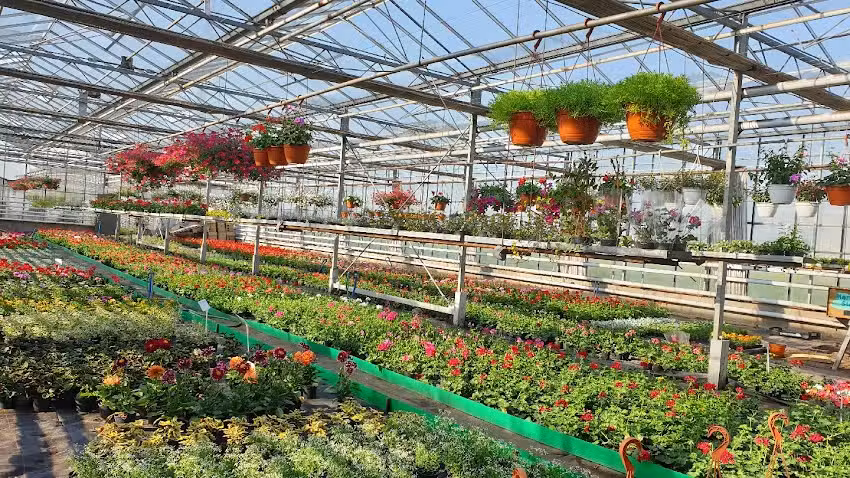 Ogrodnictwo Bogumiła Walkowiak