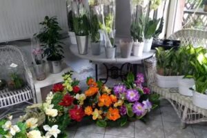 Ogrodnictwo Krystyna i Adam Zajda