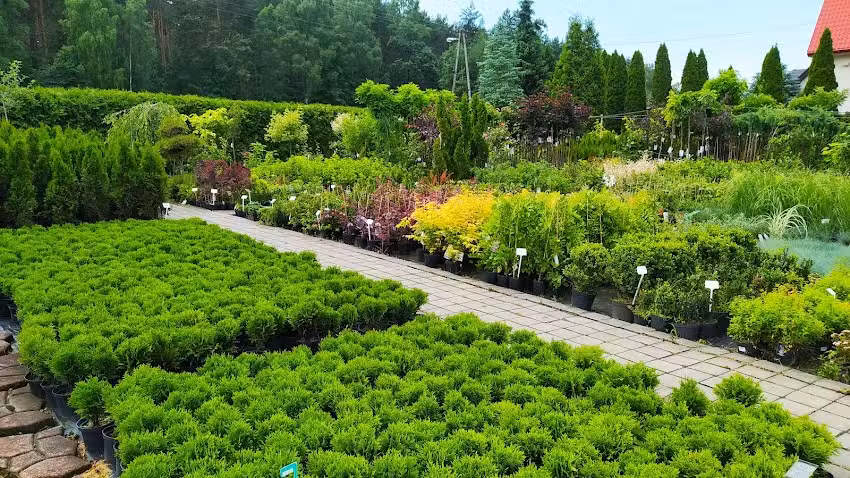 Ogrodnictwo Kwiaty Drzewka Sobieraj