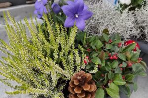 Ogrodnictwo Stogi – Patent na zieleń