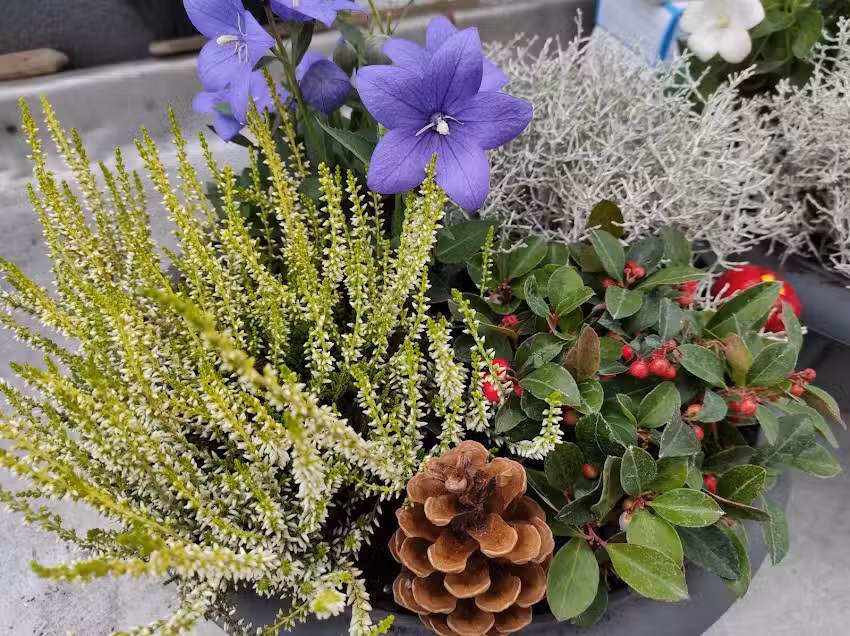 Ogrodnictwo Stogi – Patent na zieleń