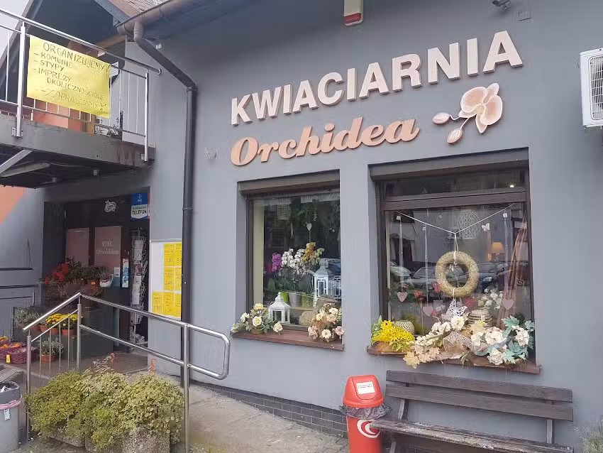 Orchidea