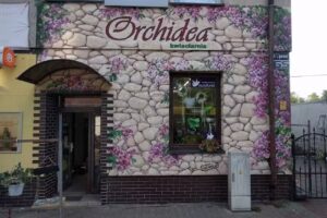 Orchidea Andrzej Biegaj