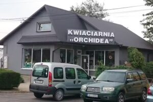 Orchidea. Kwiaciarnia. Mazur R.