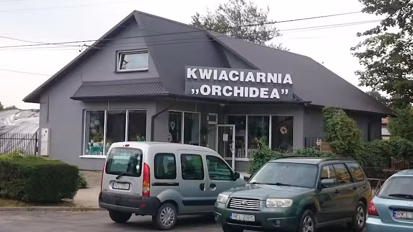Orchidea. Kwiaciarnia. Mazur R.