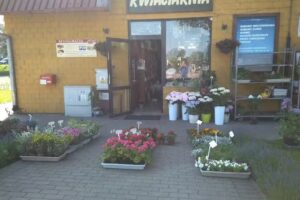 Orzeł Donata. Kwiaciarnia