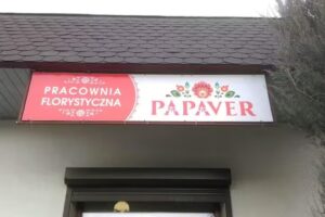 Papaver. Pracownia florystyczna