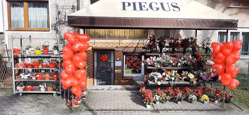Piegus. Kwiaciarnia