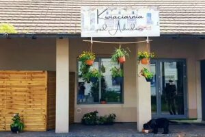 Pod Arkadami kwiaciarnia Łabędy