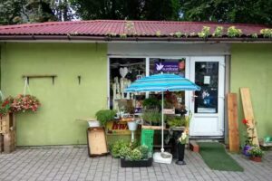 Pod Wiązem. Kwiaciarnia