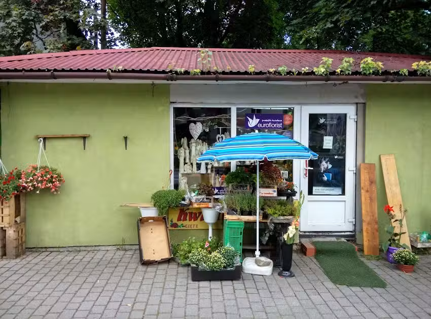 Pod Wiązem. Kwiaciarnia