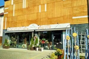 Pod Żółtą Różą