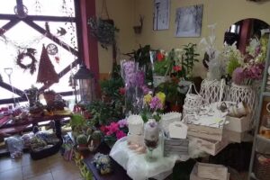 PPHU Stokrotka – Jolanta Borowska