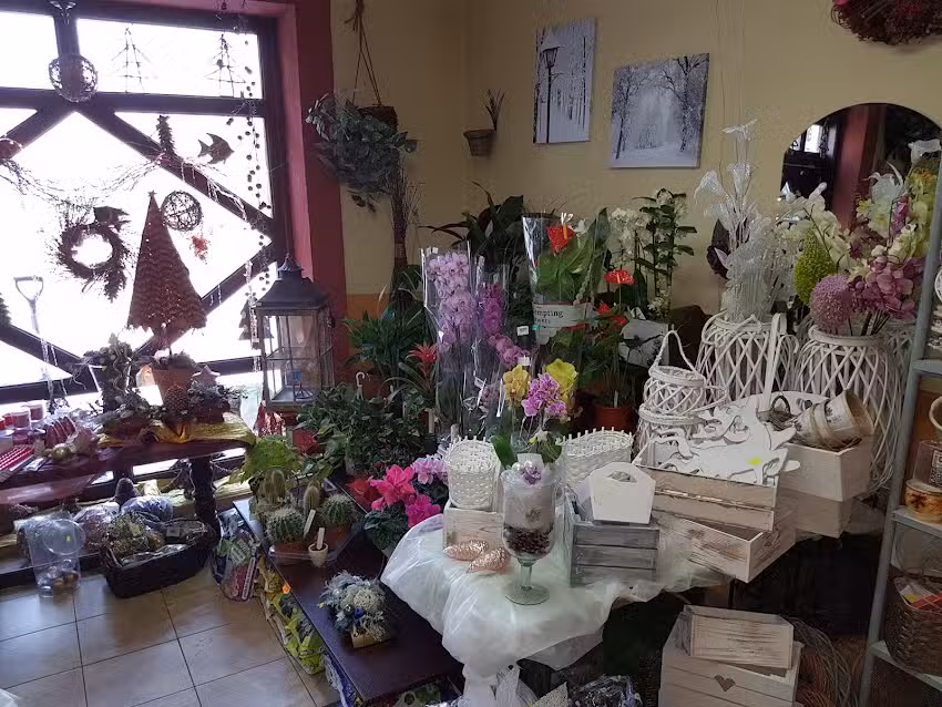 PPHU Stokrotka – Jolanta Borowska