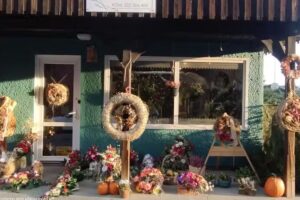 Pracownia Florystyczna Chaszcze