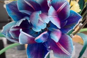 Pracownia Florystyczna Jo-Anna