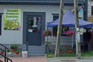 Pracownia Florystyczna Kwiaciarnia Ines