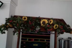 Pracownia Florystyczna NARCYZEK Sylwia Bogusz