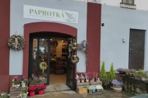 Pracownia florystyczna Paprotka