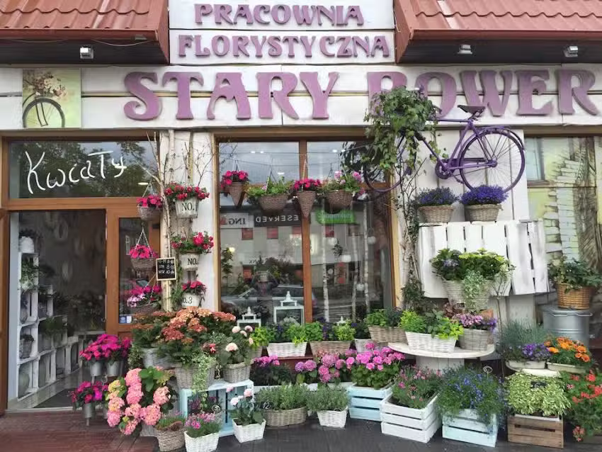 Pracownia Florystyczna Stary Rower Kwiaciarnia Kwiaty