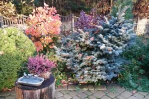 Pracownia Kwiatowa Bajka Anna Szkotak