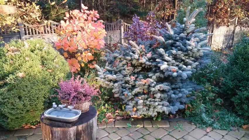 Pracownia Kwiatowa Bajka Anna Szkotak