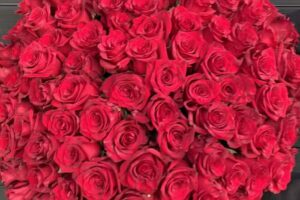 Prestiż. Kwiaciarnia. Matyla K.