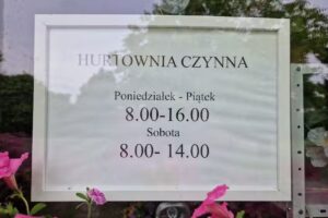 Primapol, hurtowa sprzedaż kwiatów.