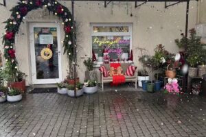 Przemyślane kwiaty Agnieszka Pomorska