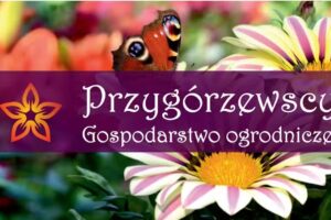 Przygórzewscy Gospodarstwo Ogrodnicze