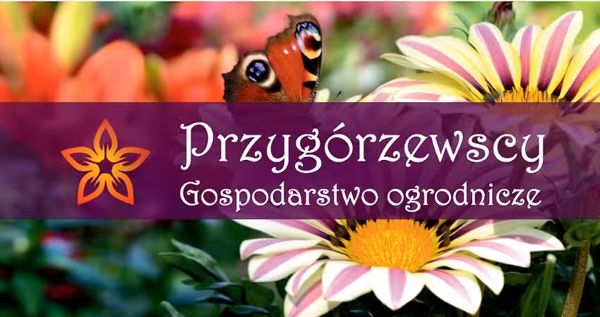 Przygórzewscy Gospodarstwo Ogrodnicze