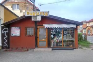 Rumianek. Kwiaciarnia