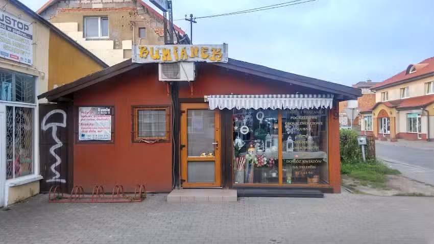 Rumianek. Kwiaciarnia