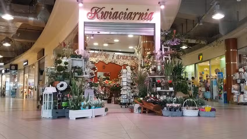 Salon bukietów i aranżacji D&M Dorota Caruzzi